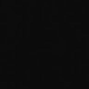 Meet your Posher, Bela